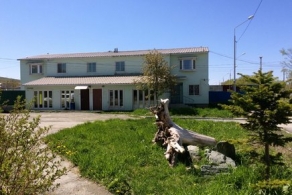 ���� ���������