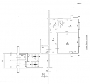 ���� ���������